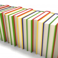 Reading Comprehension Questions