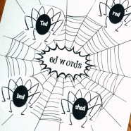 Spider Word Families