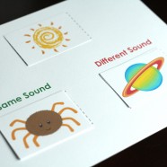 The Same-Different Game