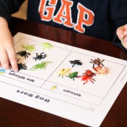 It’s Here! Bugs and Butterflies Activity Pack