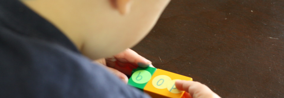 Lego Word Families