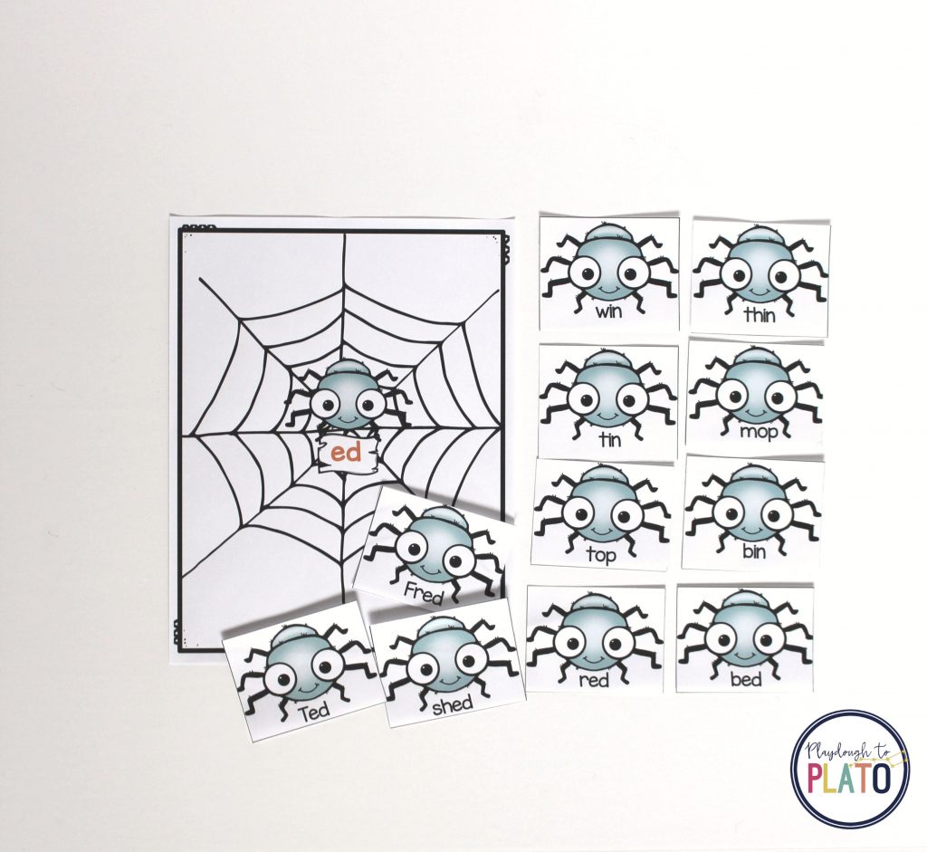 Spider Word Families