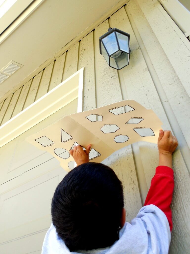 2D Shape Hunt