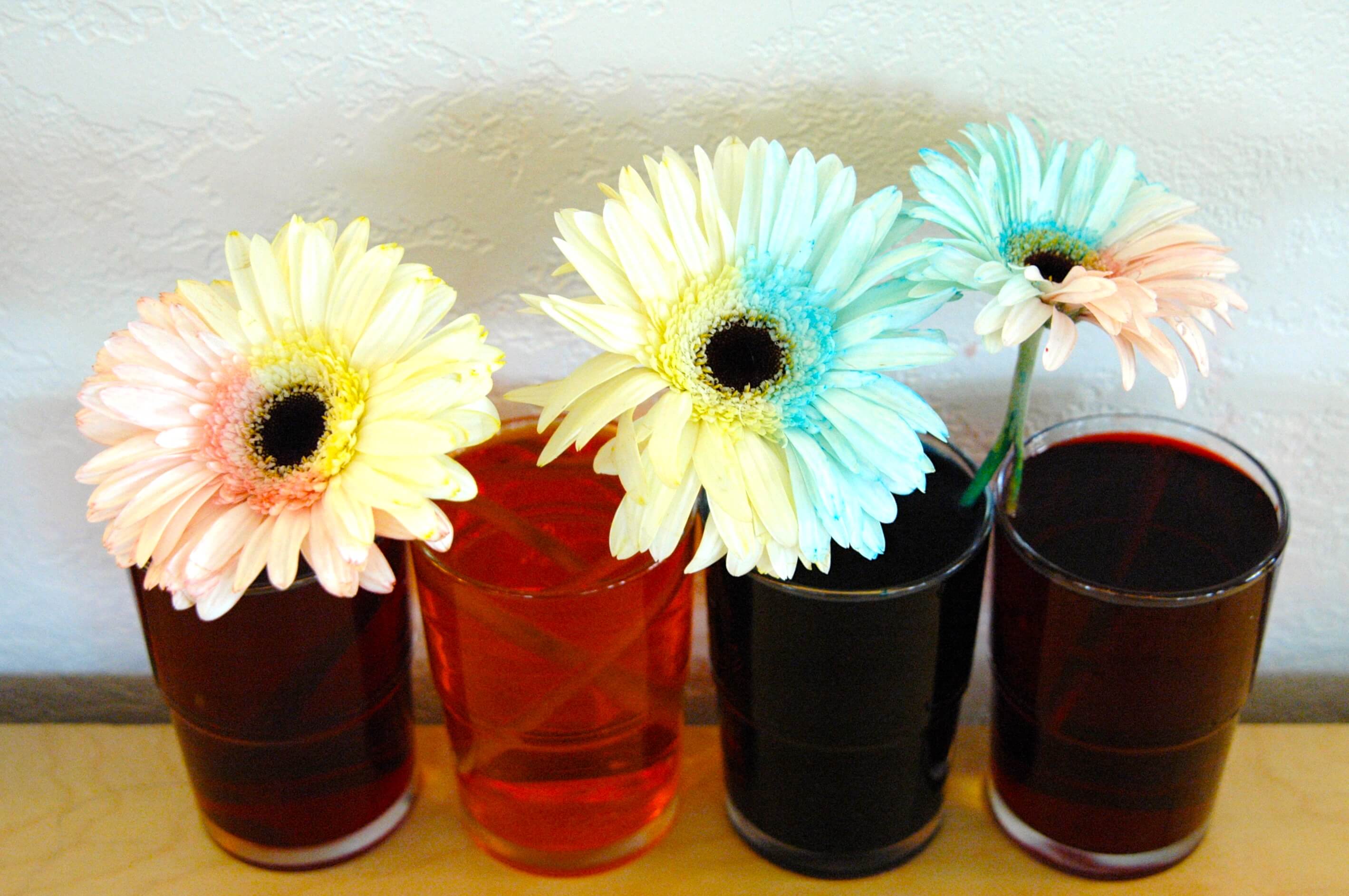 food color dyed flowers | Dyed flowers, Flowers, Food 