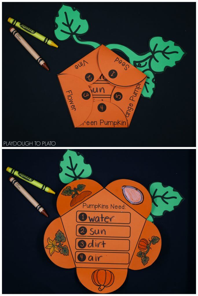 Pumpkin life cycle craftivity