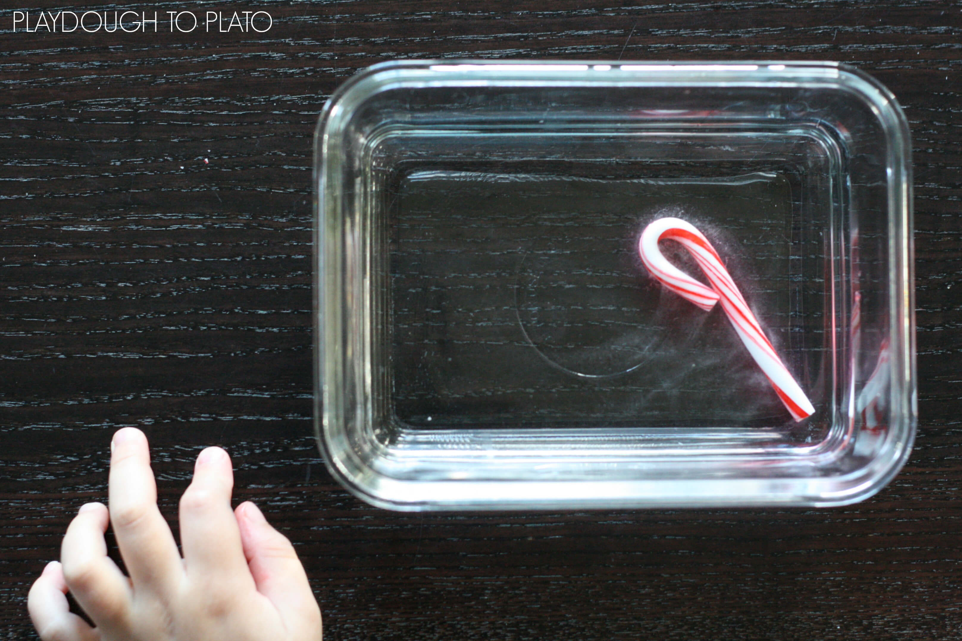 Easy kids science! Make candy cane stripes disappear.