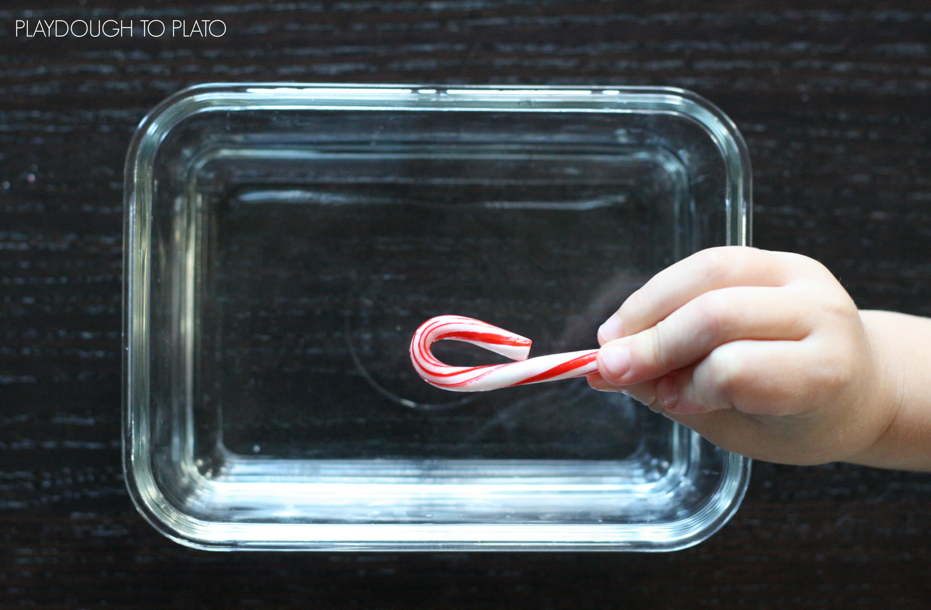 I love this kids science experiment. Make candy cane stripes disappear!