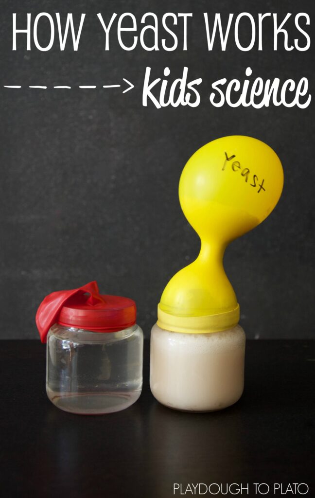 Simple Kids Science - How Yeast Works