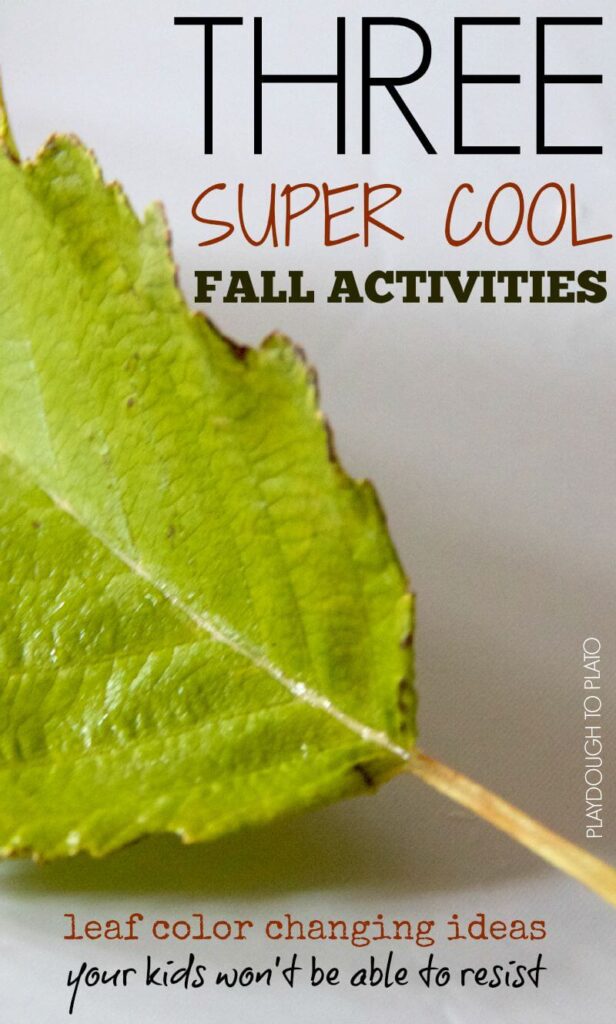 Fall Leaf Activities for Kids