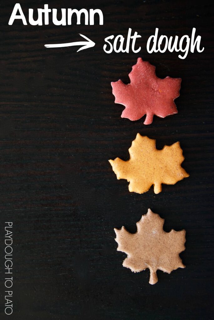 Autumn Salt Dough Recipes. Warm and spicy scents. Perfect for fall kid crafts!