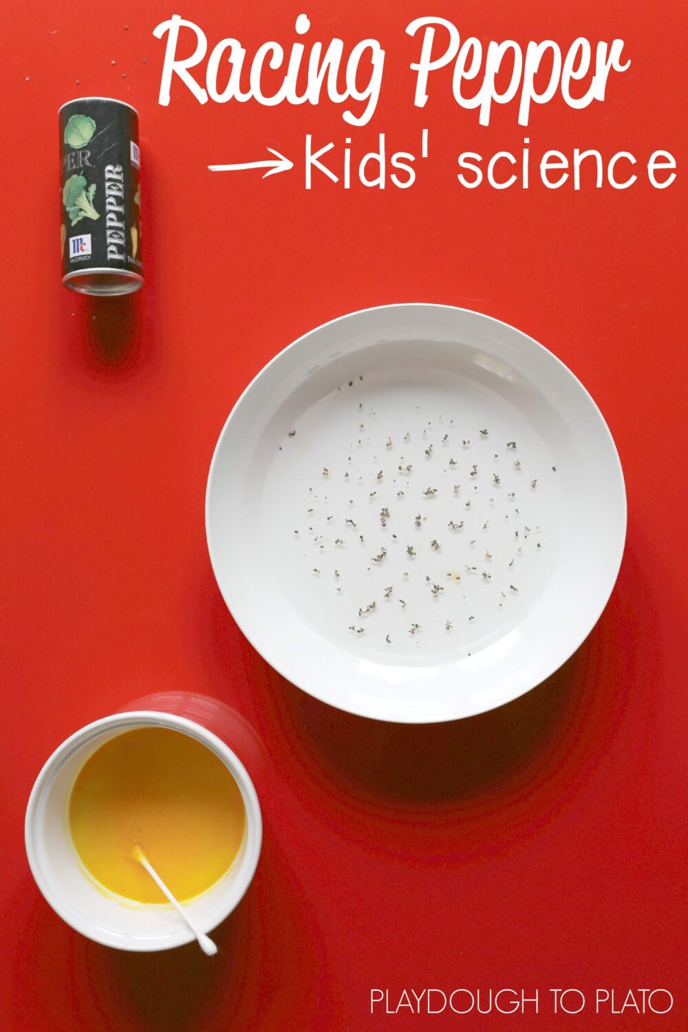 Racing Pepper Science - Playdough To Plato