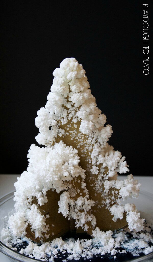Awesome Christmas science for kids! Grow a crystal Christmas tree.
