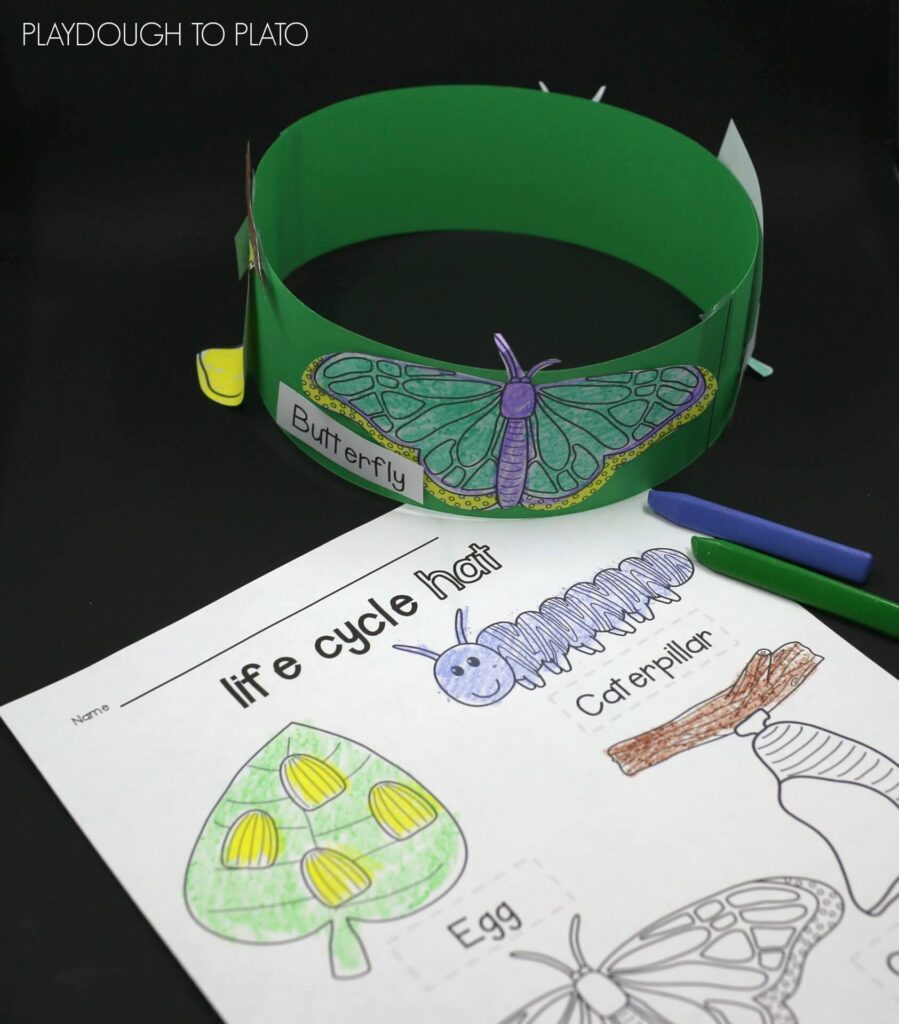 Fun butterfly life cycle hat for kids!
