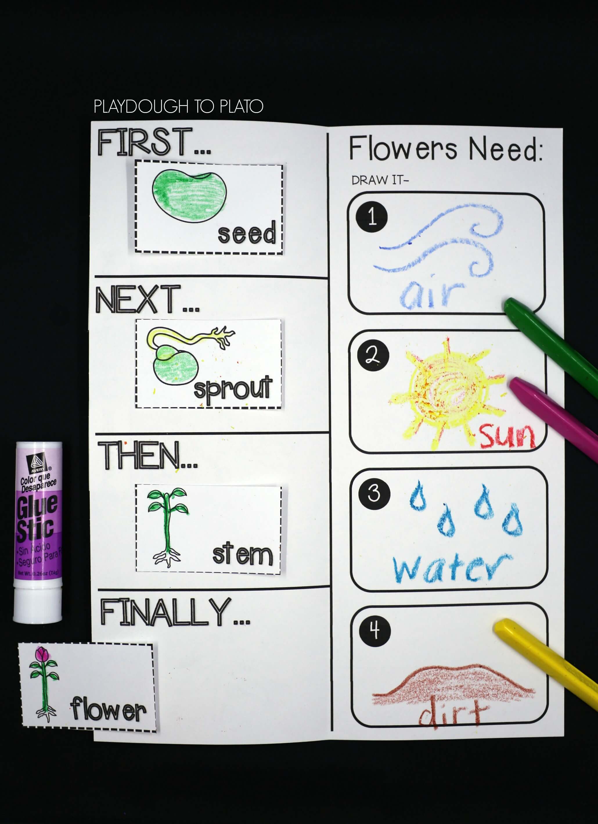 Glue the life cycle stages in the right order... - Life Cycle Of A Plant For Kindergarten