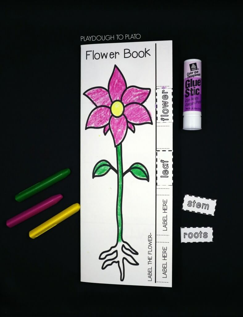 Interactive flower book. Label the parts...