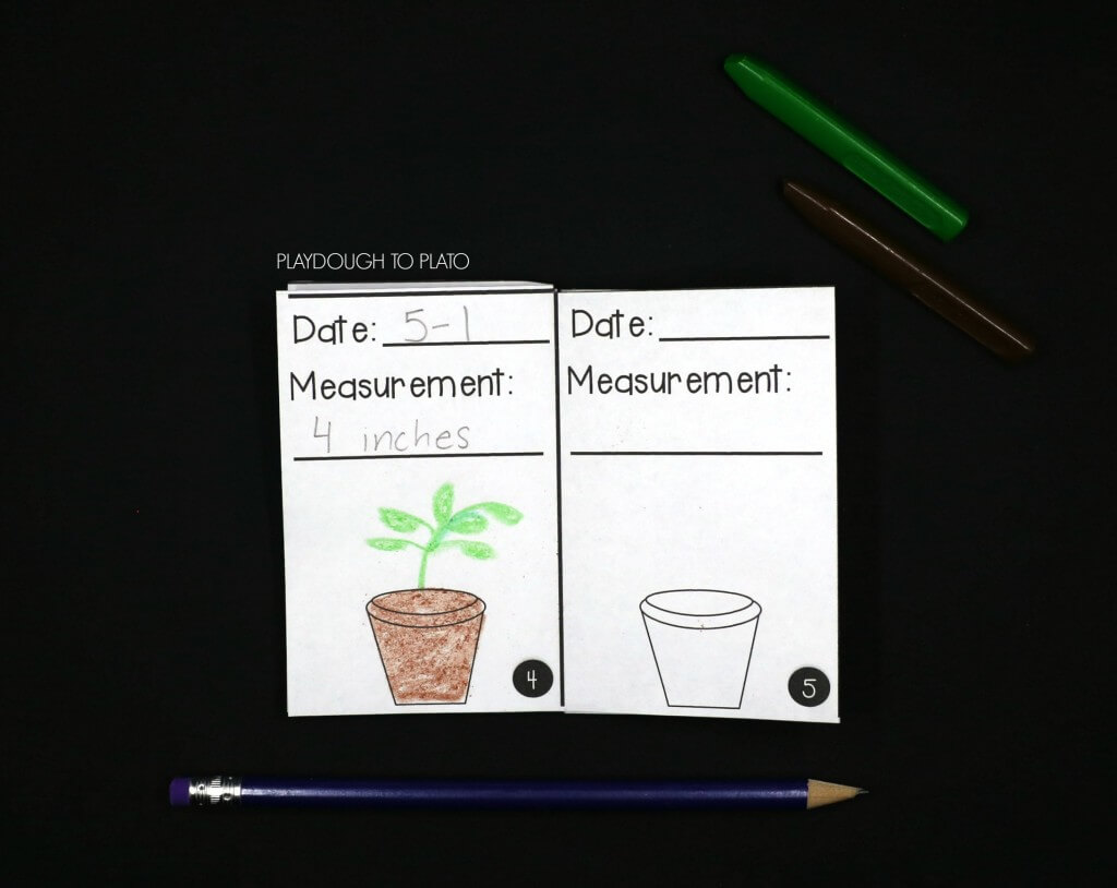 Keep track of plant observations in a plant journal!