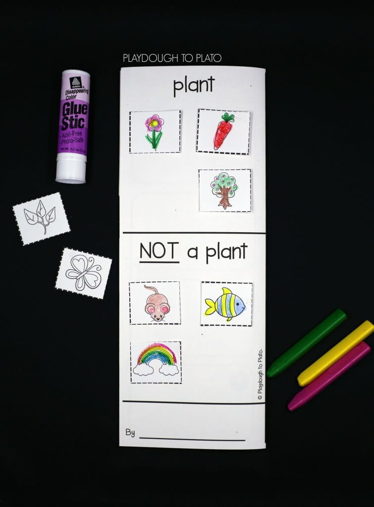 Sort objects into categories plants and not plants.
