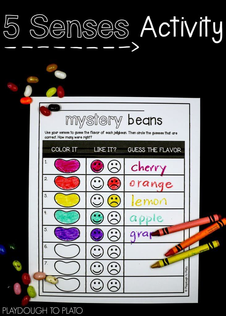 Use your senses to taste each jellybean. Then circle the guesses that are correct!