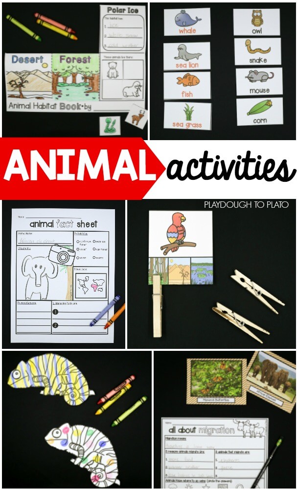 Animal Activities for Kids - Playdough To Plato