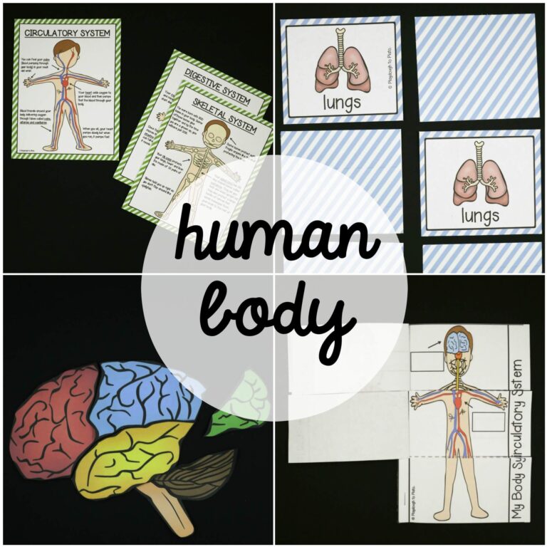 Human Body Systems Pack
