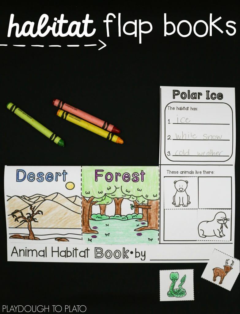 interactive-animal-habitat-flap-books