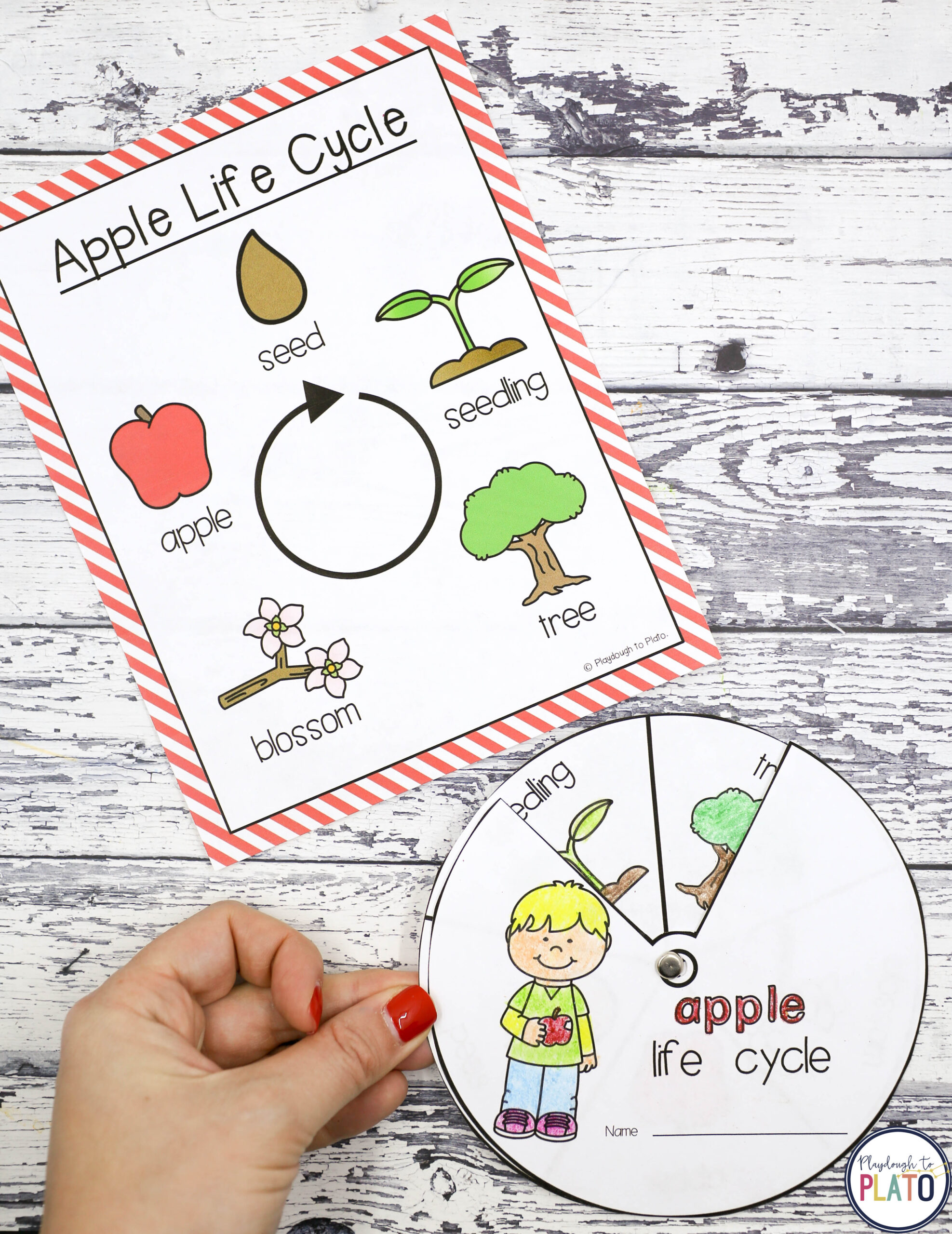 Apple STEM Challenges - Image 4