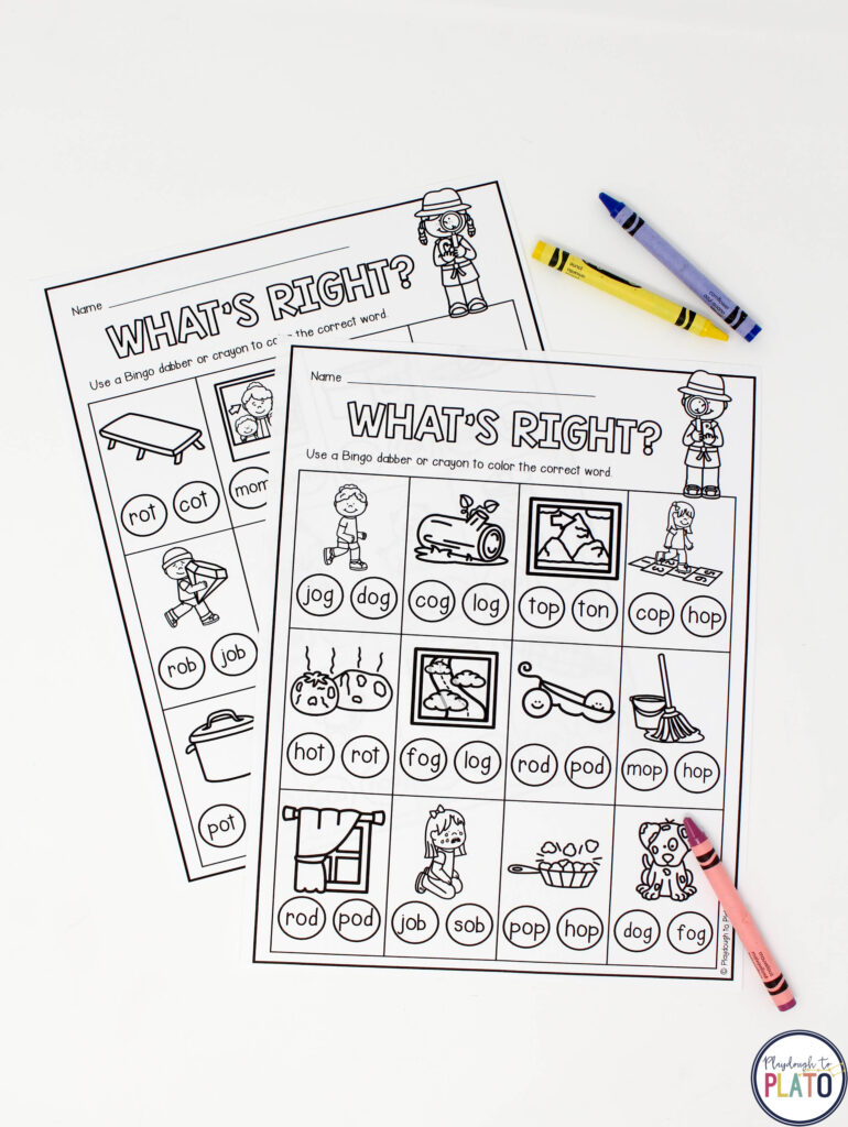 Review which word is the correct word with this fun bingo dabber worksheet. 