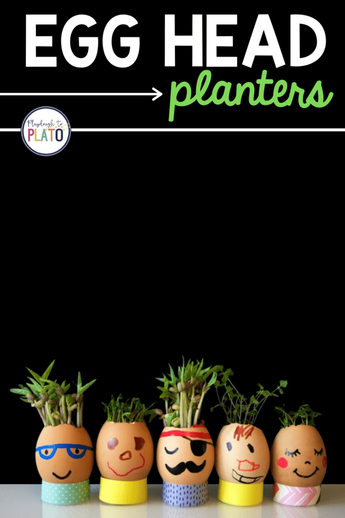 Egg Head Planting Activity