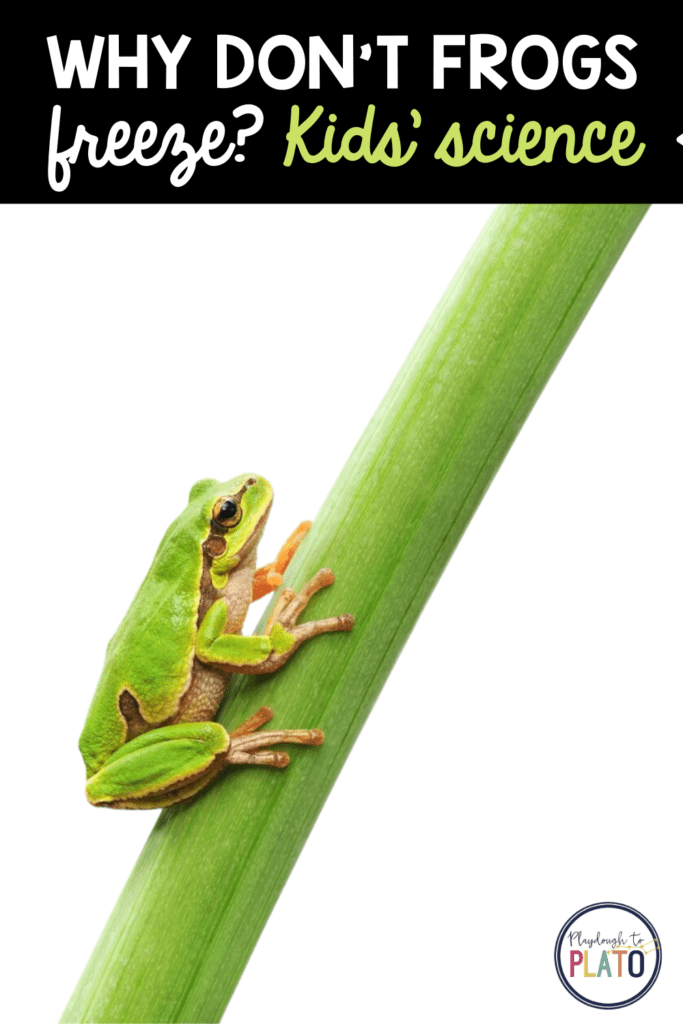 Life Science: Why Don’t Frogs Freeze?