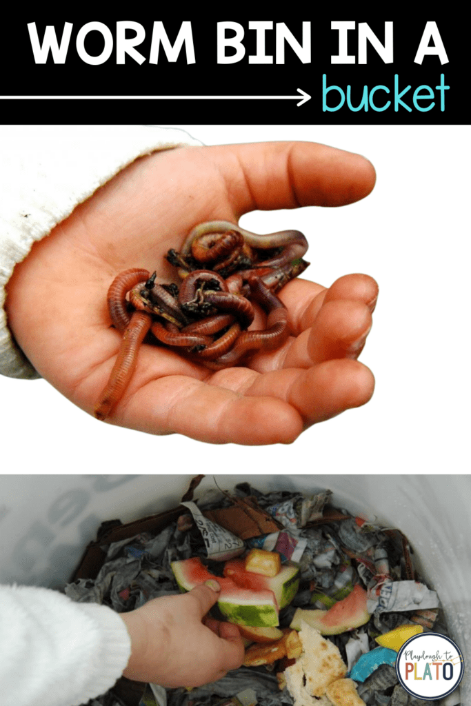 Worm Bin in a Bucket