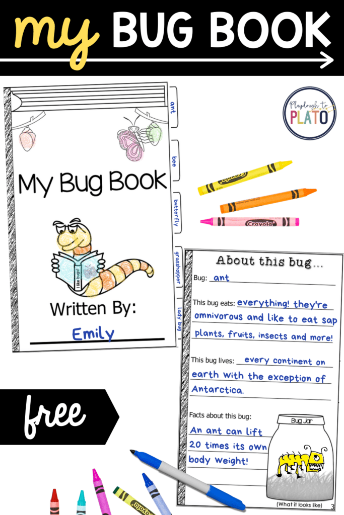 My Bug Book Activity