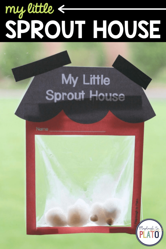 My Little Sprout House