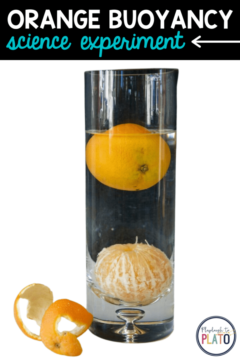Orange Buoyancy Kids’ Science Experiment